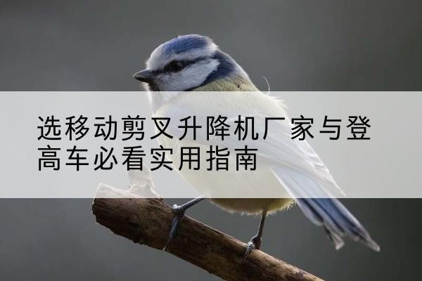 南陵电动升降机厂家-选移动剪叉升降机厂家与登高车必看实用指南