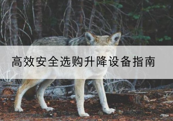 南陵升降货梯厂家推荐-*安全选购升降设备指南