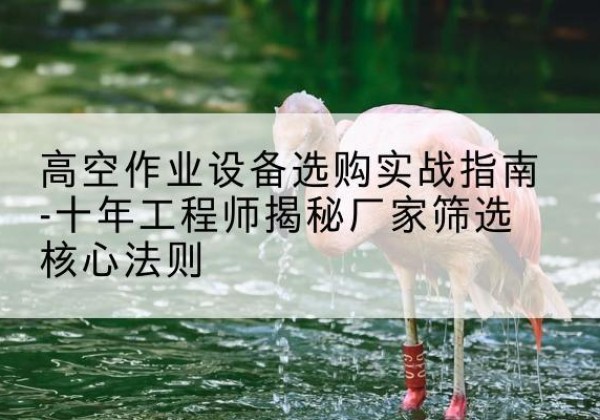 南陵剪叉式升降机厂家-高空作业设备选购实战指南-十年工程师揭秘厂家筛选核心法则